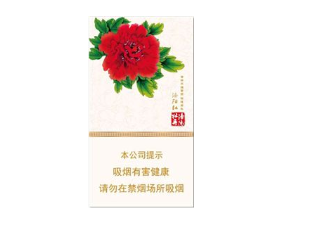 瑞安市进口香烟